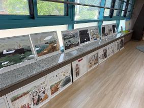 6월 독서 행사 <환경 원화 전시> <틈새 독서>